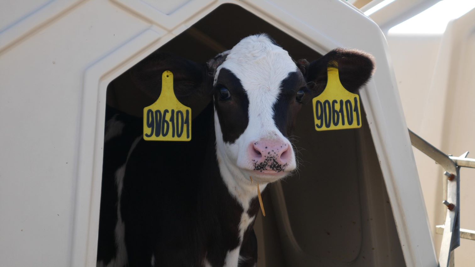 Digital Twins in agribusiness during the pandemic era - Smart4Agro