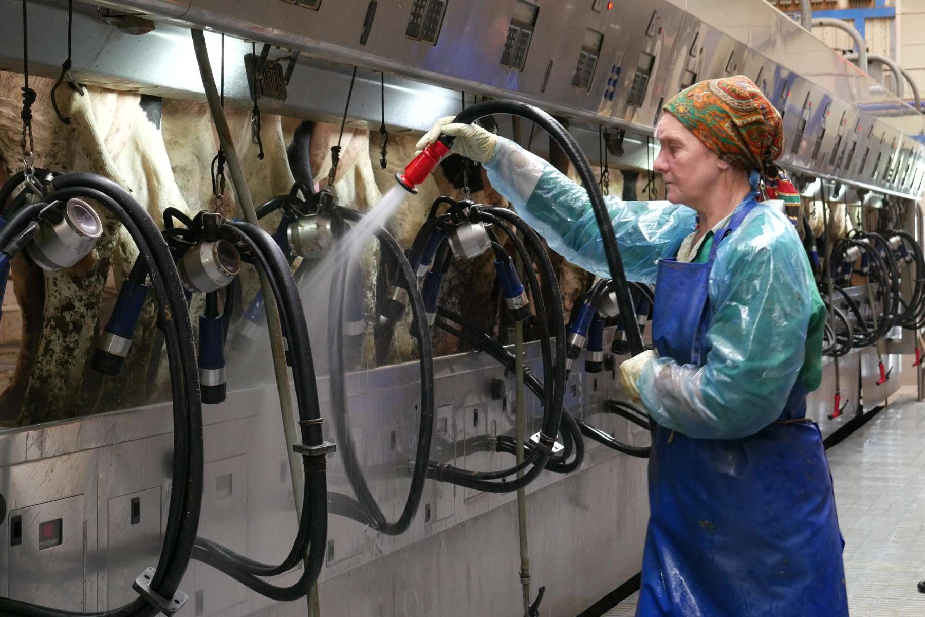 The success of the farm depends on the staff - Smart4Agro