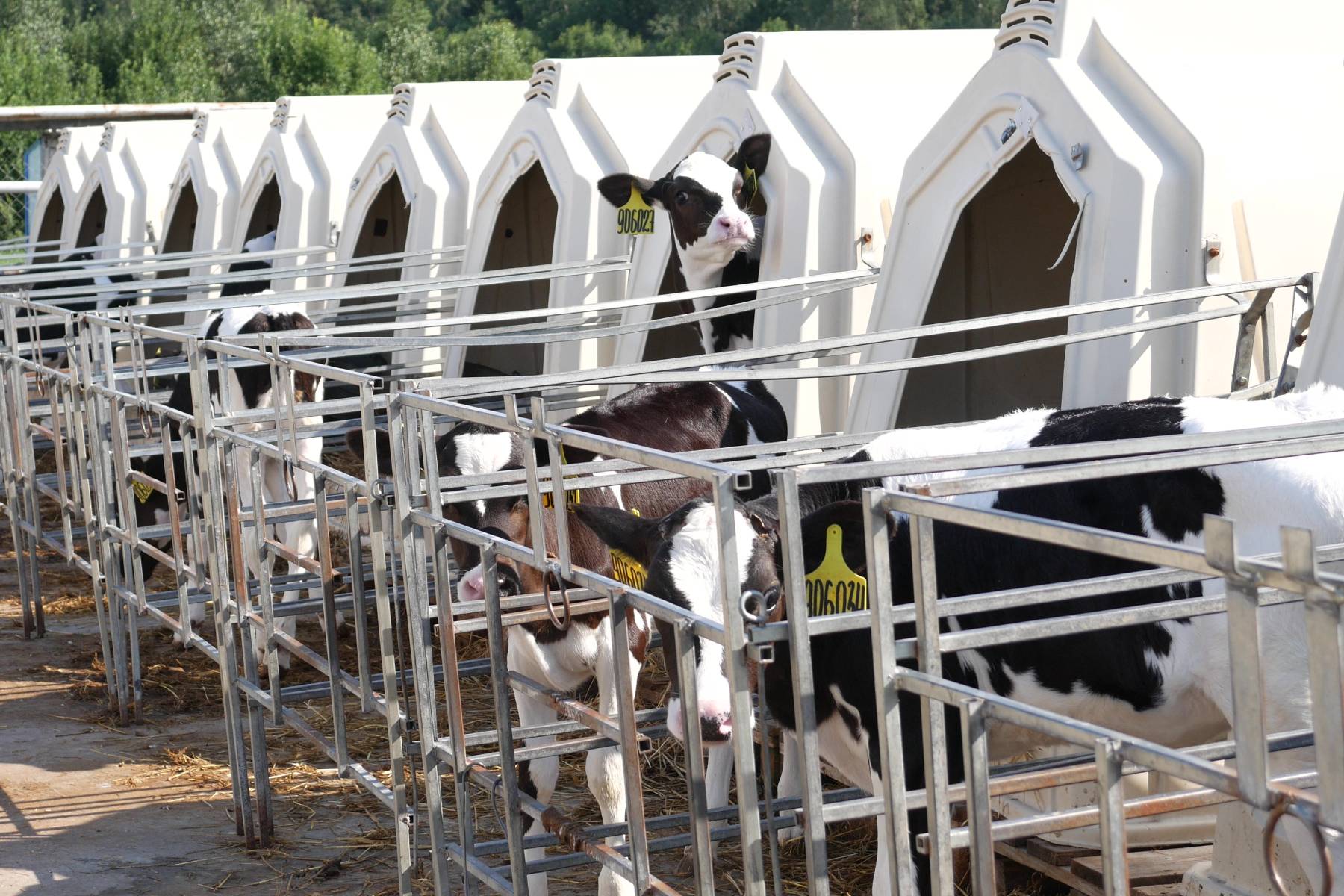 Farm optimization starts with employee work - Smart4Agro