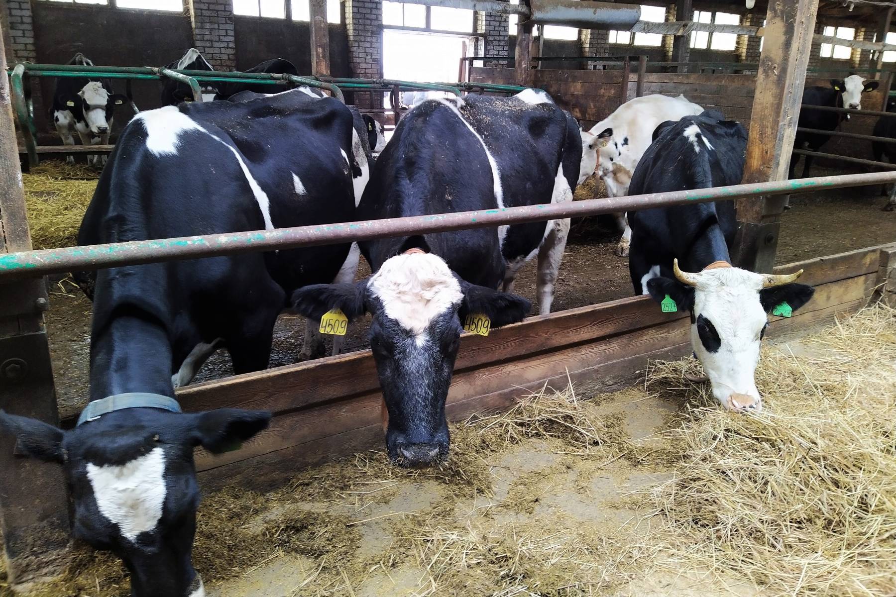 Modern farm audit - Smart4Agro