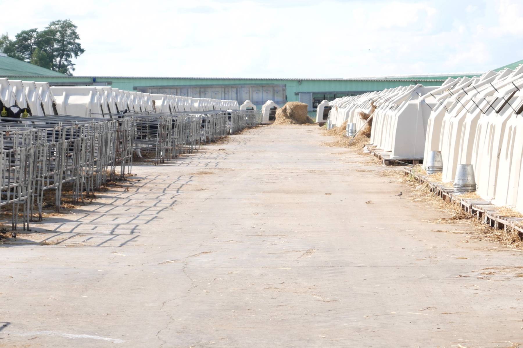 Why cutting costs on the farm is risky - Smart4Agro