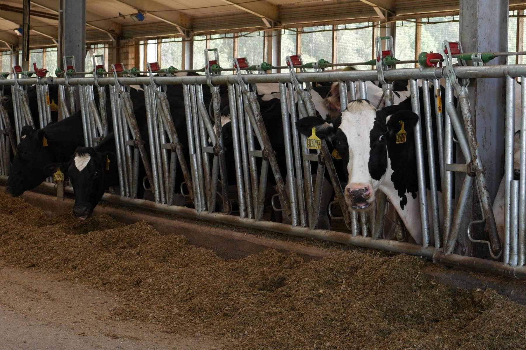 Why does the farm need a Digital Twin? - Smart4Agro